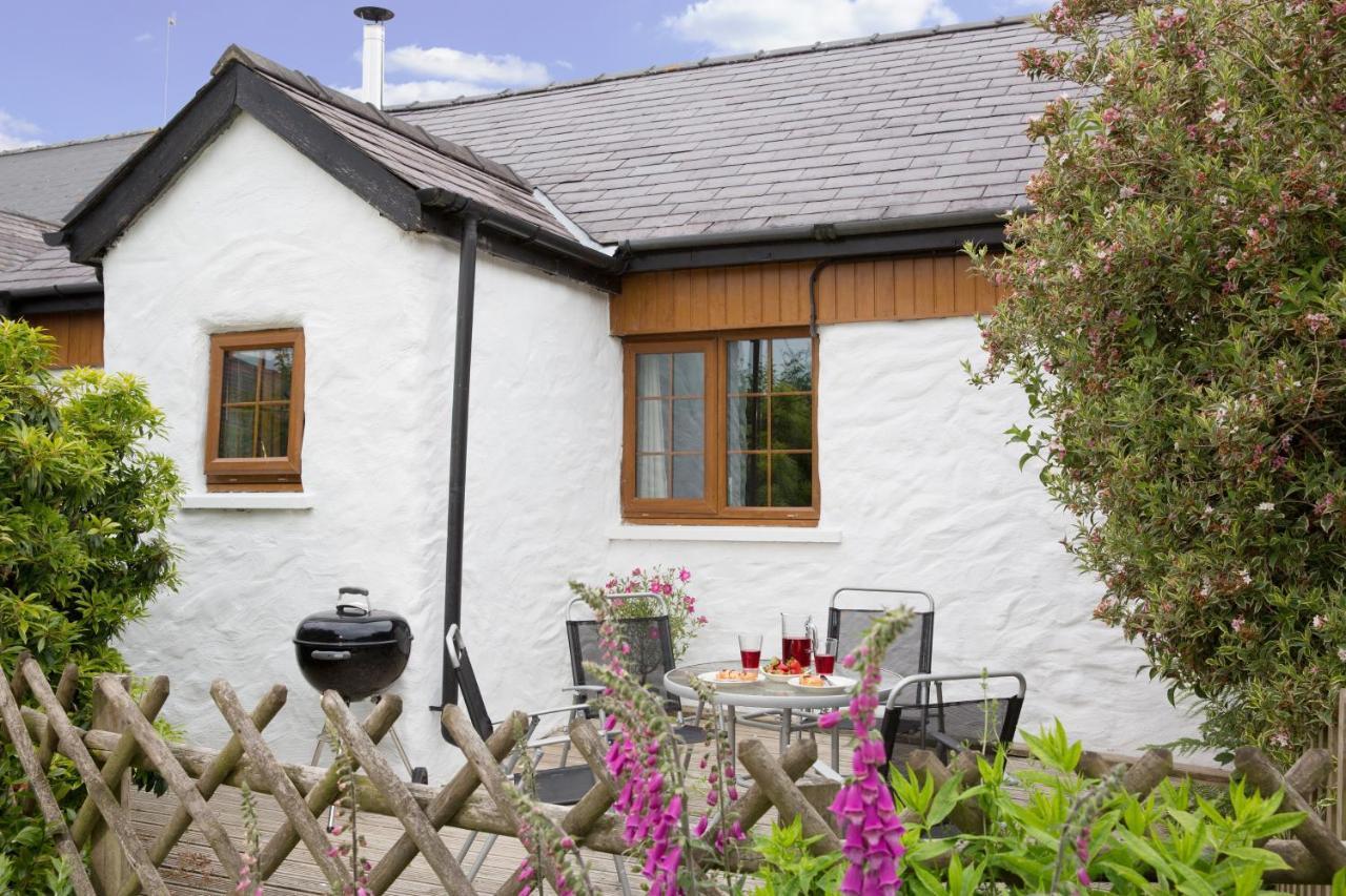 Croft Farm & Celtic Cottages Cardigan Exteriör bild