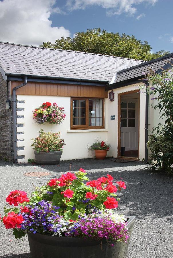 Croft Farm & Celtic Cottages Cardigan Exteriör bild
