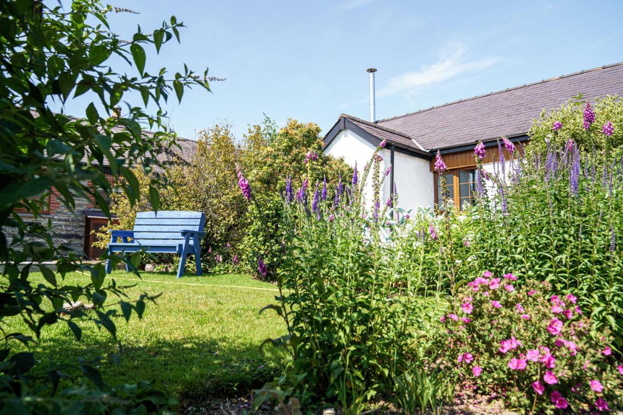 Croft Farm & Celtic Cottages Cardigan Exteriör bild